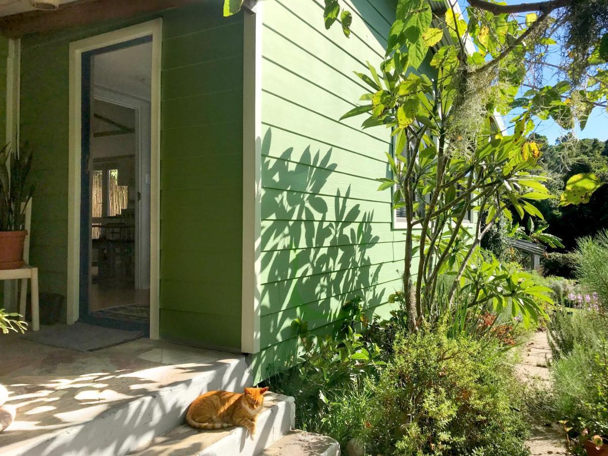 Loeriewood Garden Apartment, Hunters Home Knysna Esterno foto